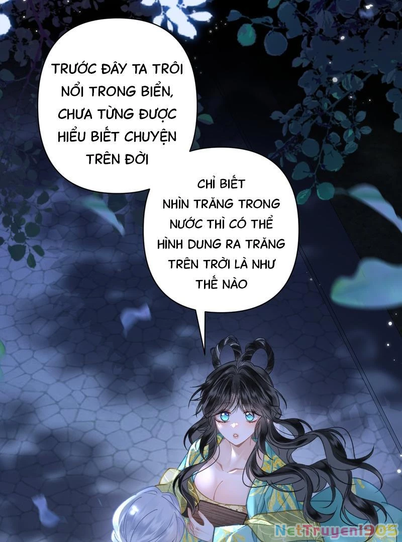 Đông Hải Tìm Mỹ Nhân Chapter 45 - 27