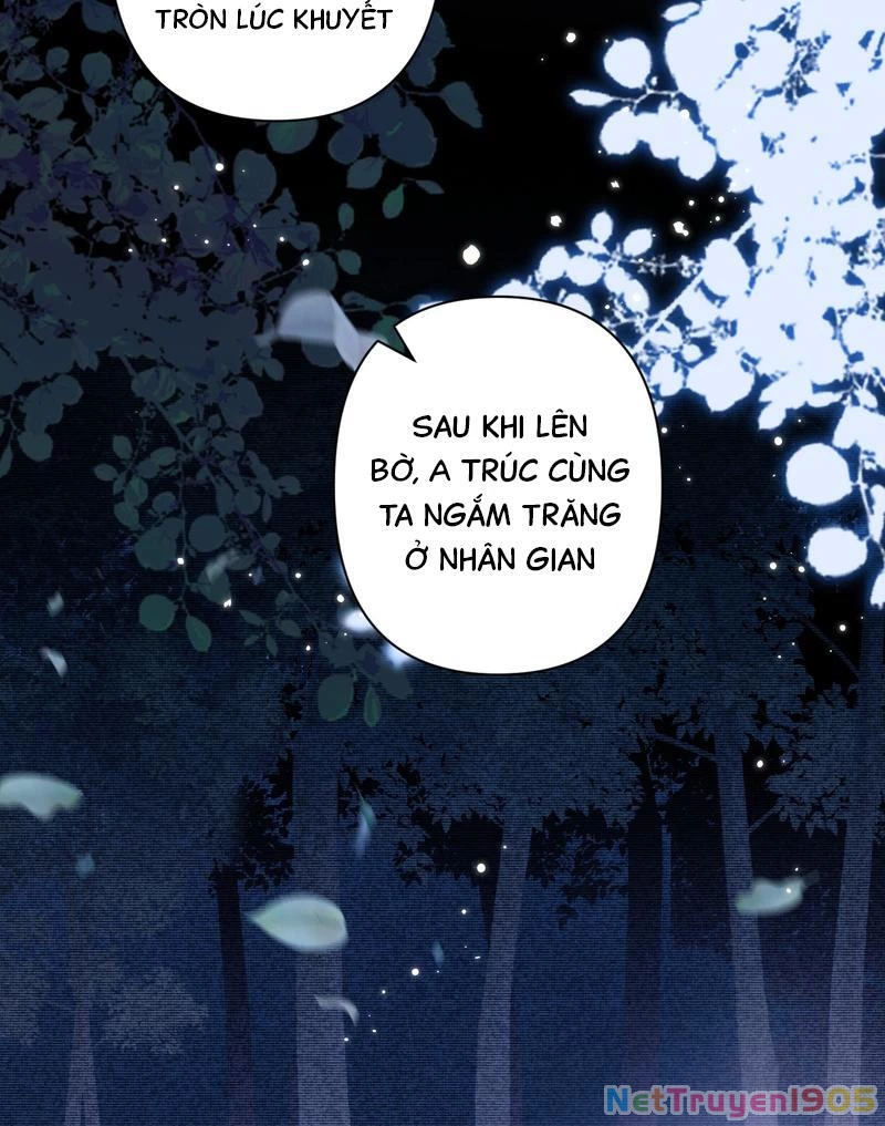 Đông Hải Tìm Mỹ Nhân Chapter 45 - 29