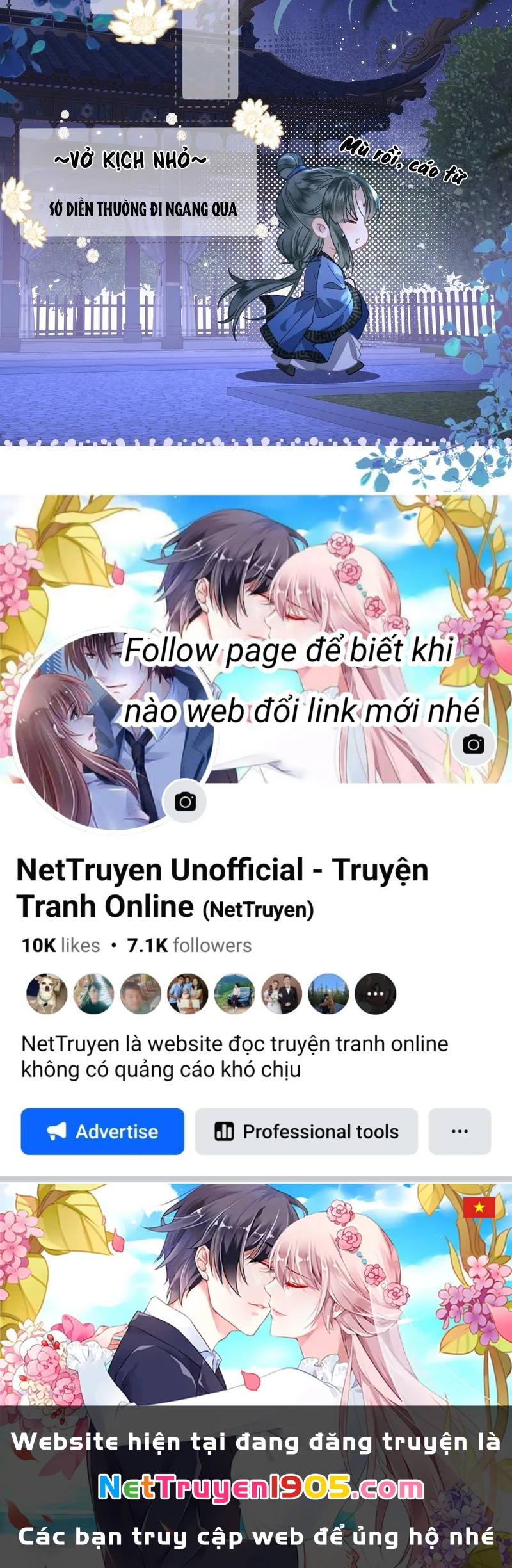 Đông Hải Tìm Mỹ Nhân Chapter 45 - 54