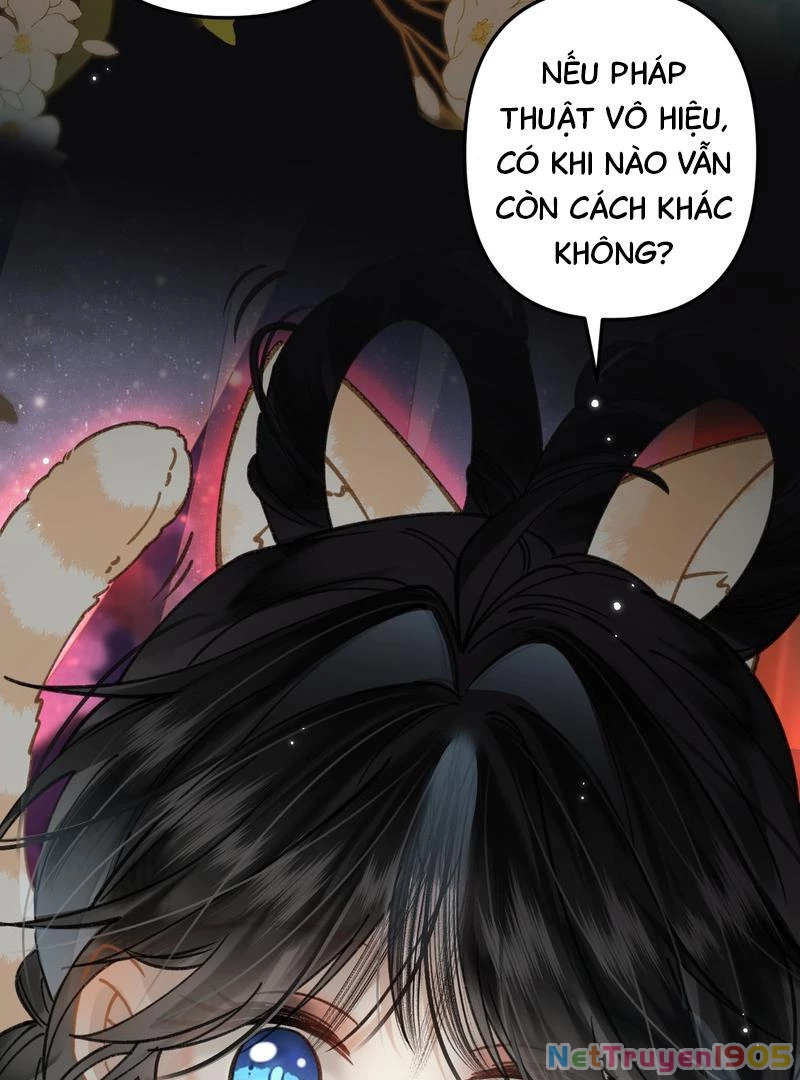 Đông Hải Tìm Mỹ Nhân Chapter 46 - 38