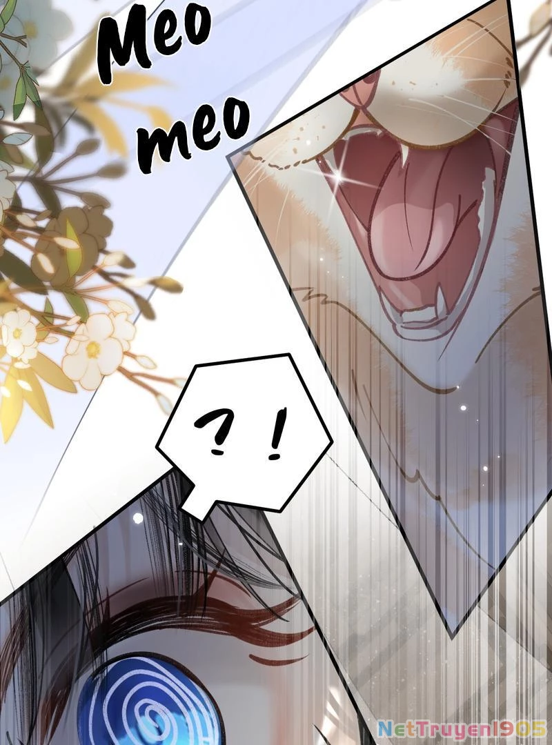 Đông Hải Tìm Mỹ Nhân Chapter 46 - 40