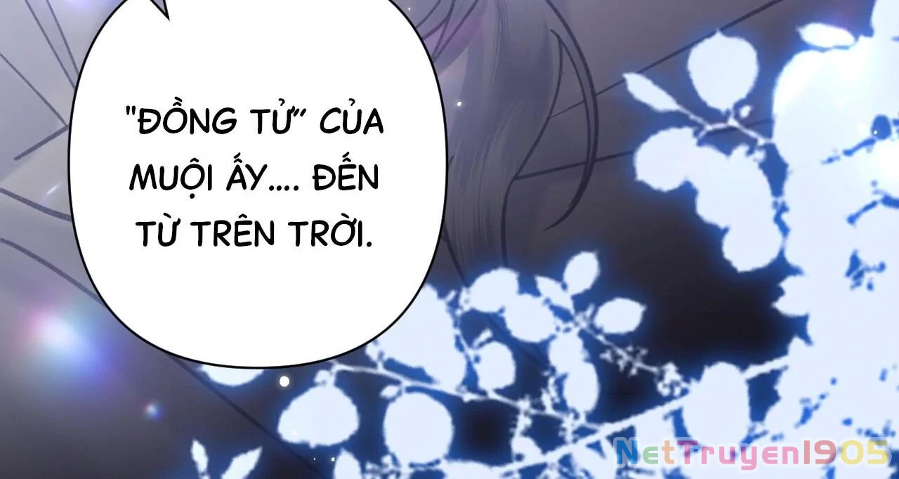 Đông Hải Tìm Mỹ Nhân Chapter 48 - 18