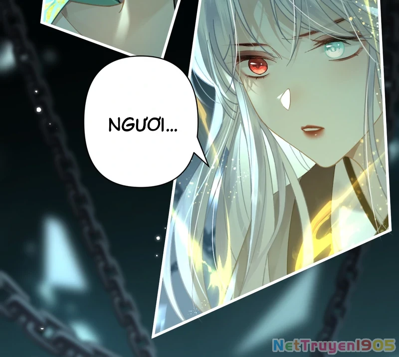 Đông Hải Tìm Mỹ Nhân Chapter 49 - 14