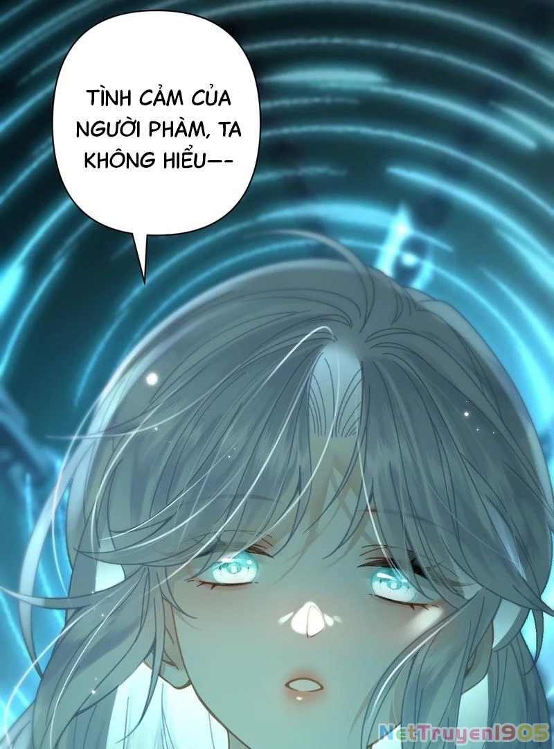 Đông Hải Tìm Mỹ Nhân Chapter 49 - 52