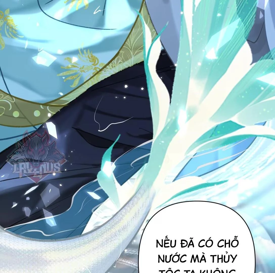 Đông Hải Tìm Mỹ Nhân Chapter 51 - 66