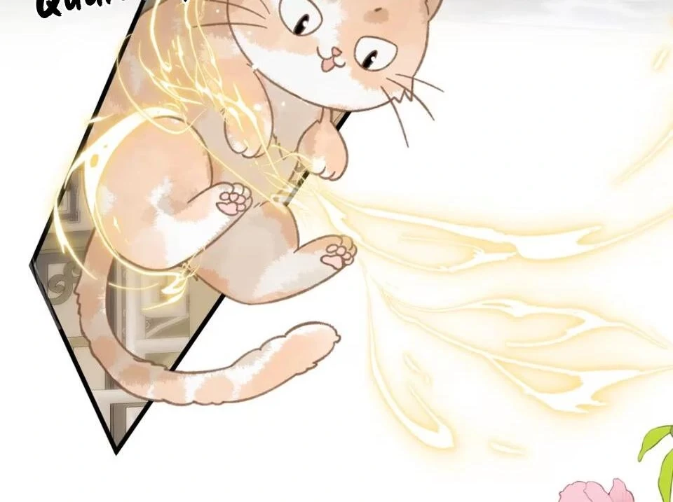 Đông Hải Tìm Mỹ Nhân Chapter 52 - 7