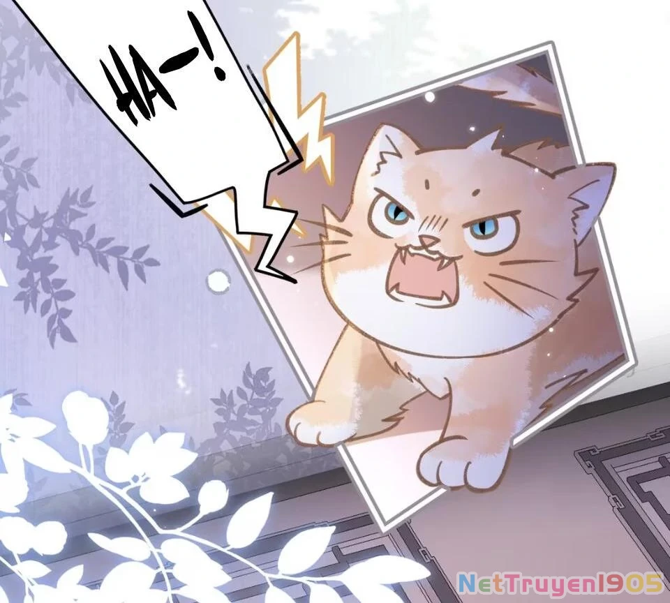 Đông Hải Tìm Mỹ Nhân Chapter 52 - 16