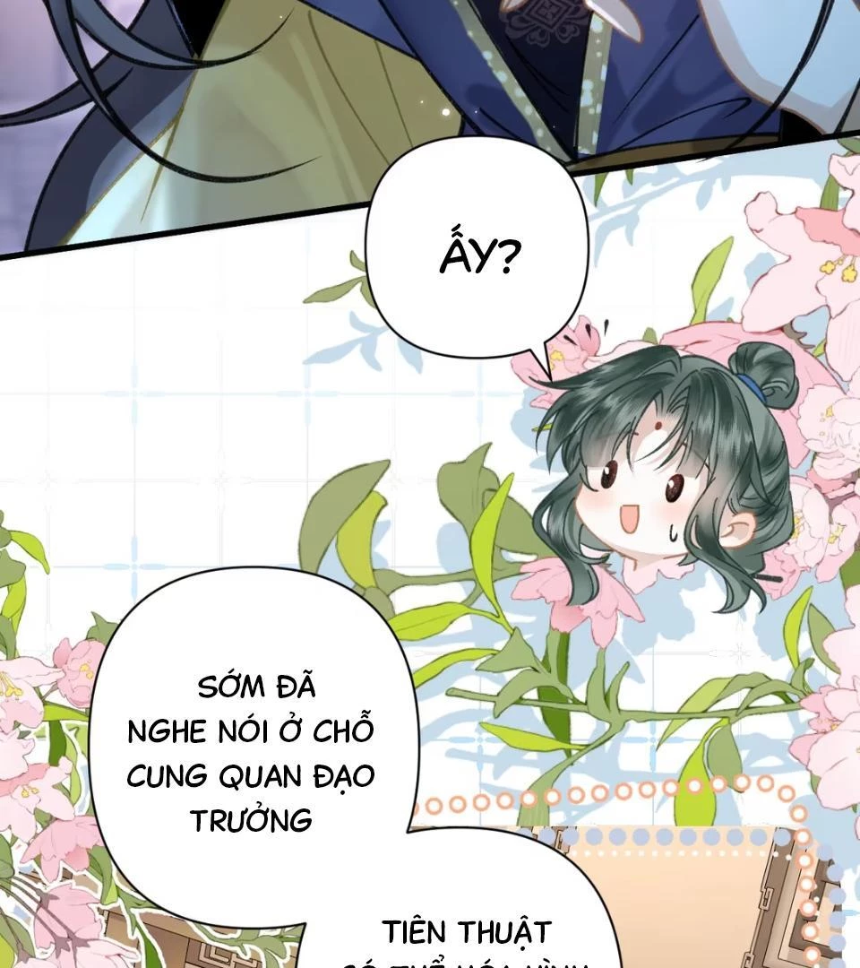 Đông Hải Tìm Mỹ Nhân Chapter 52 - 25