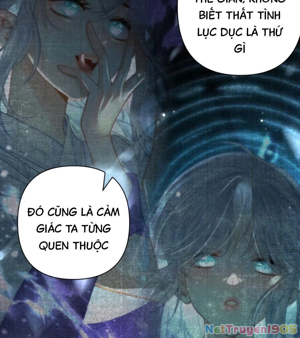 Đông Hải Tìm Mỹ Nhân Chapter 52 - 48
