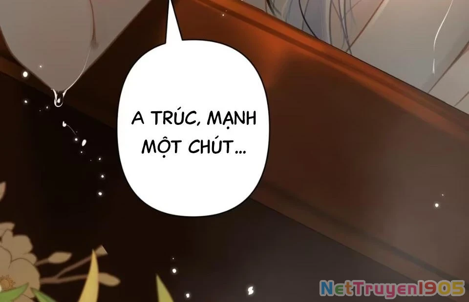 Đông Hải Tìm Mỹ Nhân Chapter 53 - 31