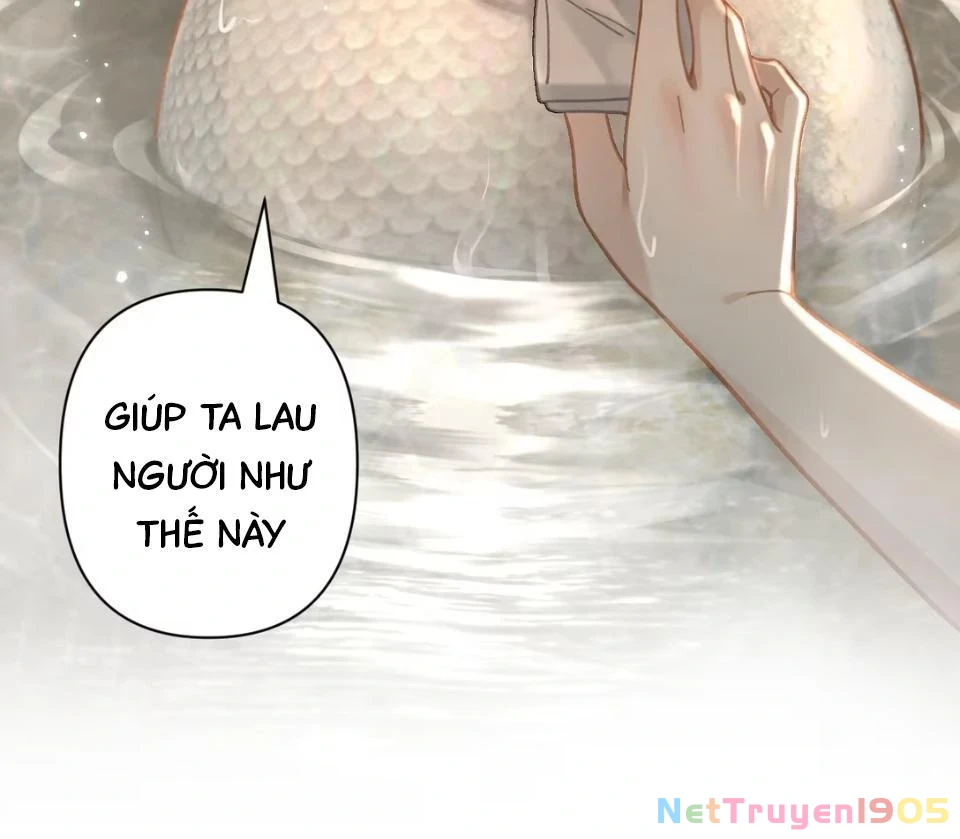 Đông Hải Tìm Mỹ Nhân Chapter 53 - 36