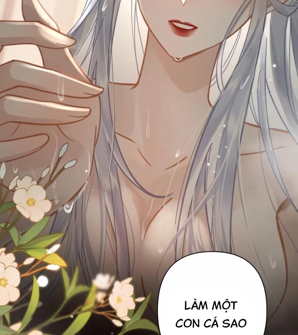 Đông Hải Tìm Mỹ Nhân Chapter 53 - 41