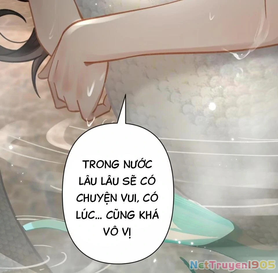 Đông Hải Tìm Mỹ Nhân Chapter 53 - 44