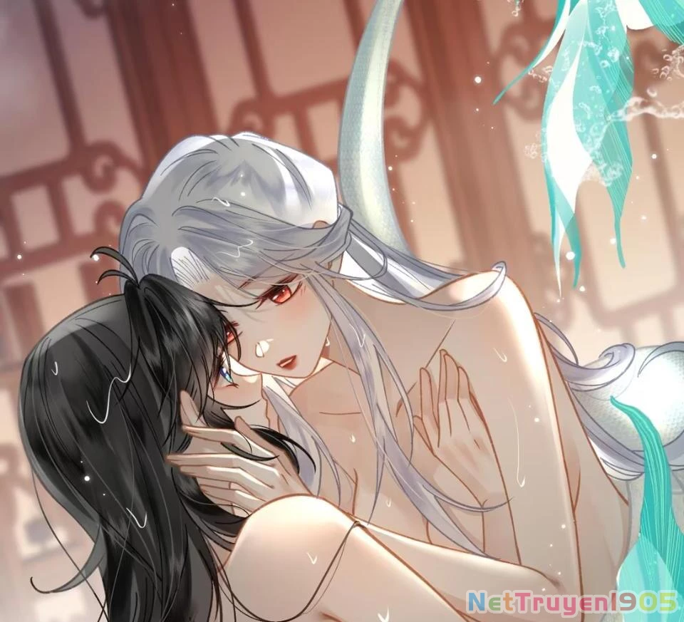 Đông Hải Tìm Mỹ Nhân Chapter 53 - 62