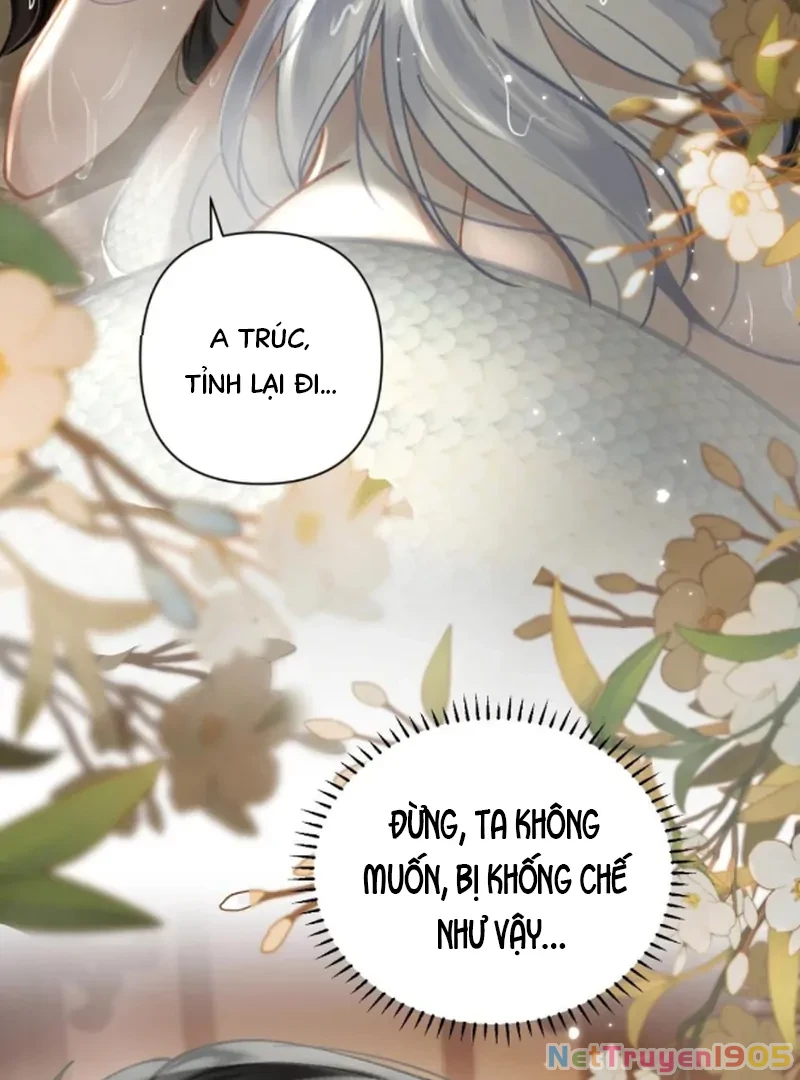 Đông Hải Tìm Mỹ Nhân Chapter 54 - 10