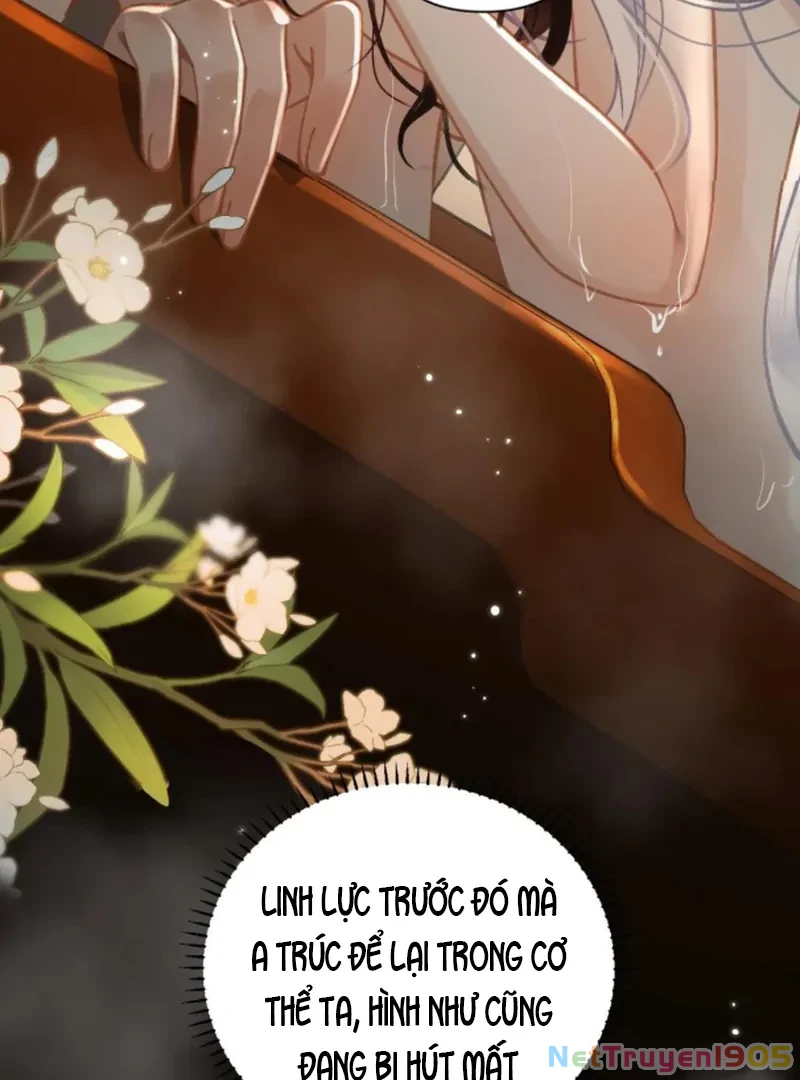 Đông Hải Tìm Mỹ Nhân Chapter 54 - 14