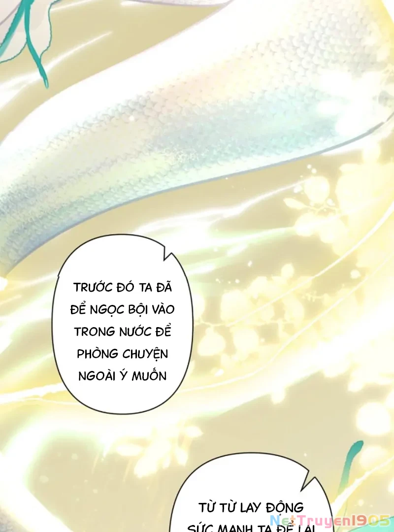 Đông Hải Tìm Mỹ Nhân Chapter 54 - 23