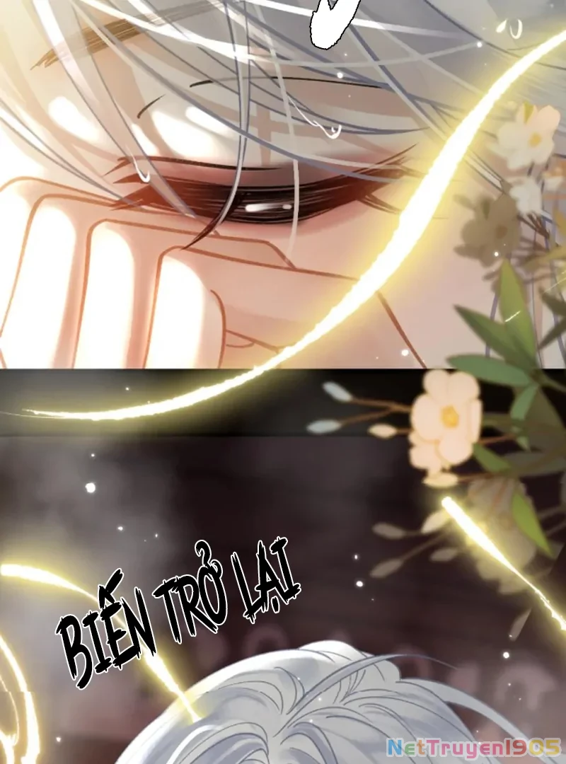 Đông Hải Tìm Mỹ Nhân Chapter 54 - 28