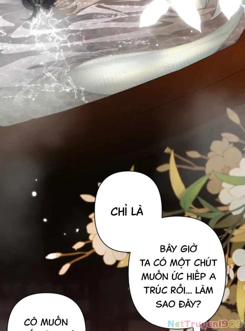 Đông Hải Tìm Mỹ Nhân Chapter 54 - 52