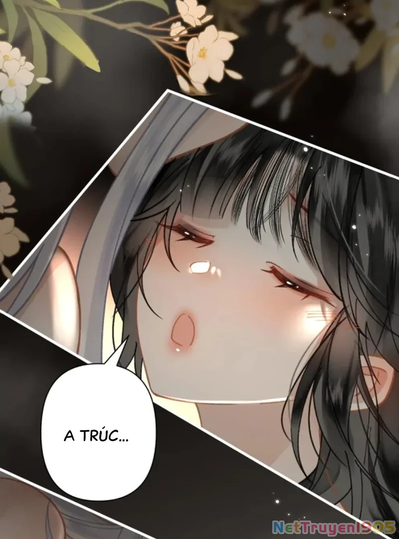 Đông Hải Tìm Mỹ Nhân Chapter 54 - 58