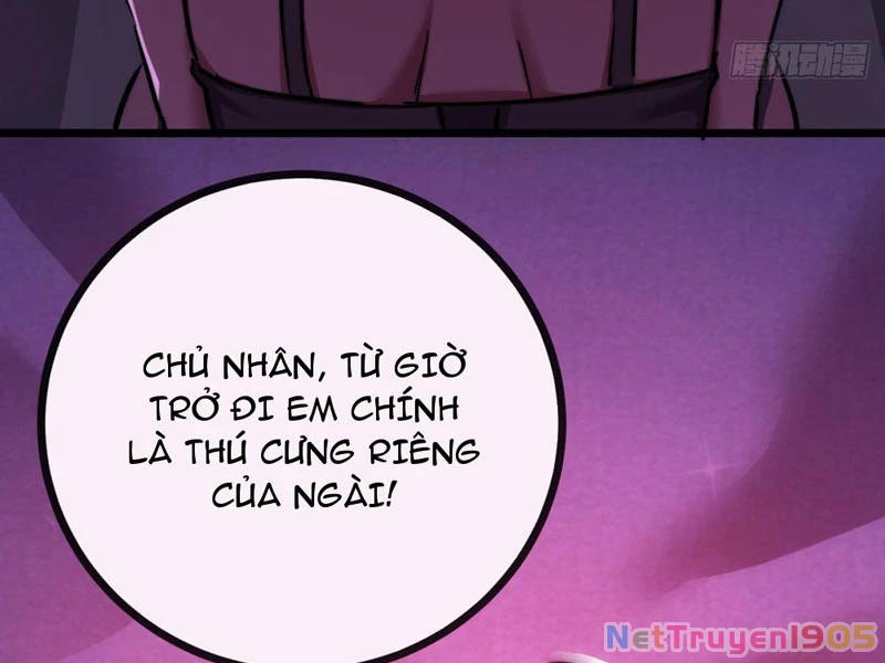 Ta dựa vào tu tiên xưng bá tận thế Chapter 1 - Trang 2
