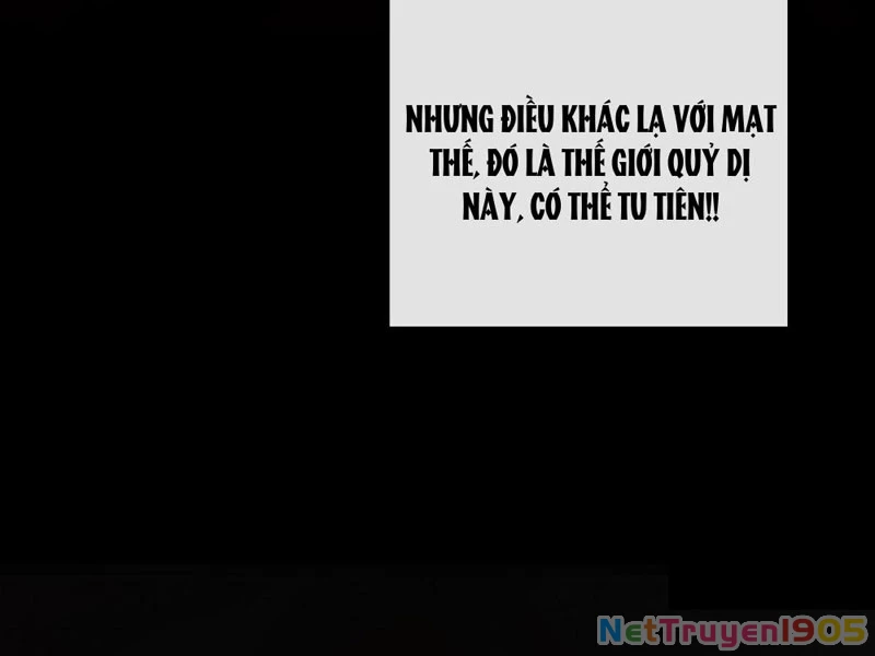 Ta dựa vào tu tiên xưng bá tận thế Chapter 3 - Trang 2