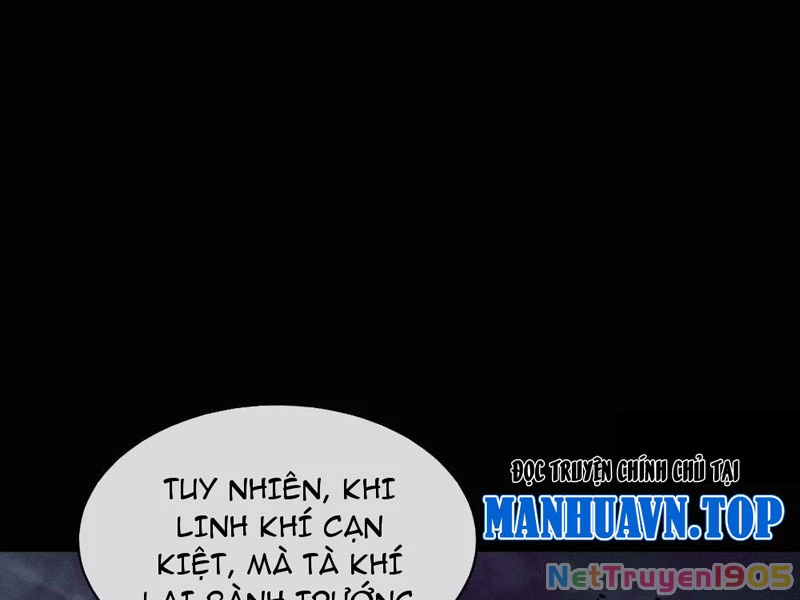 Ta dựa vào tu tiên xưng bá tận thế Chapter 4 - Trang 2