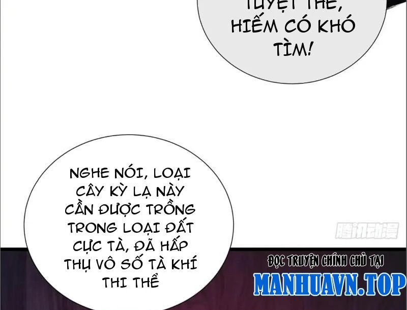 Ta dựa vào tu tiên xưng bá tận thế Chapter 7 - Trang 2