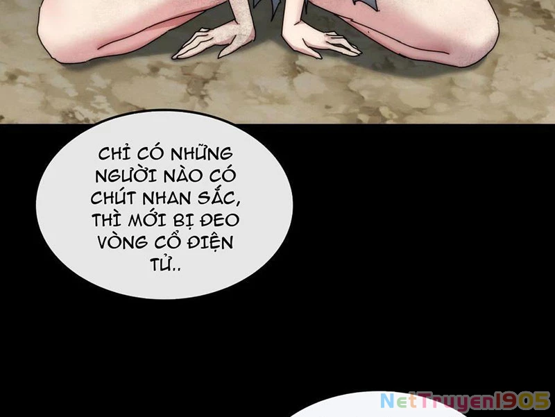 Ta dựa vào tu tiên xưng bá tận thế Chapter 10 - Trang 2