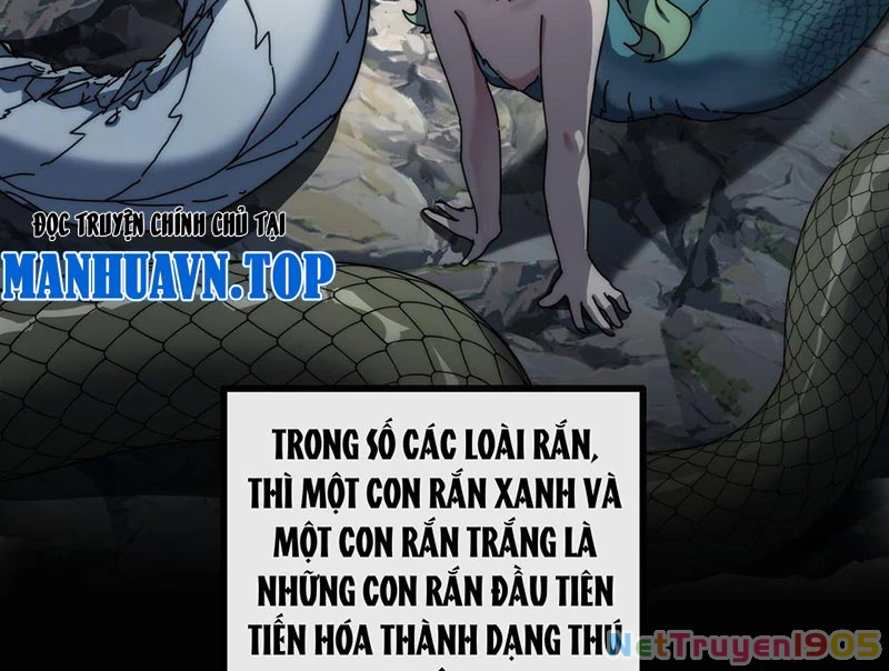 Ta dựa vào tu tiên xưng bá tận thế Chapter 11 - 62
