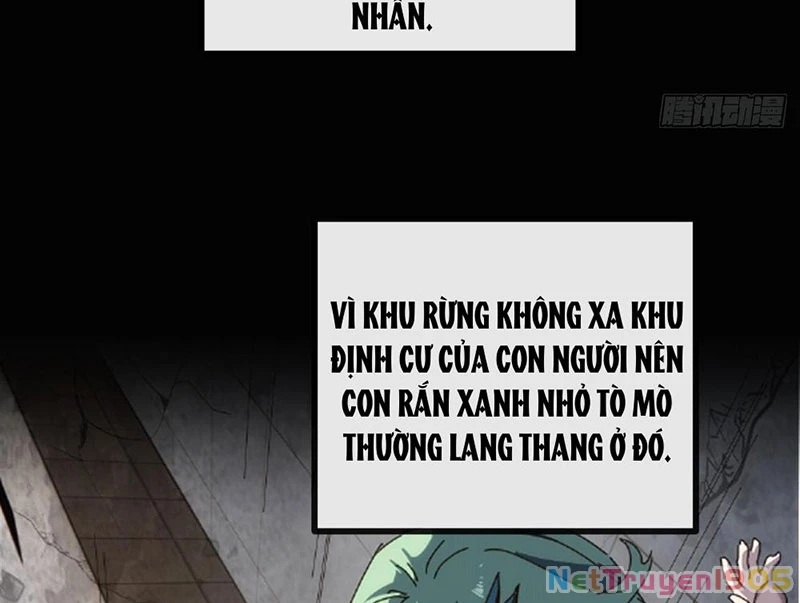 Ta dựa vào tu tiên xưng bá tận thế Chapter 11 - Trang 2