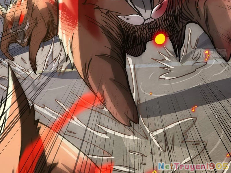 Dị Biến Giáng Lâm Nhân Gian: Kế Hoạch Thanh Trừ Người Chơi Chapter 10 - Trang 2