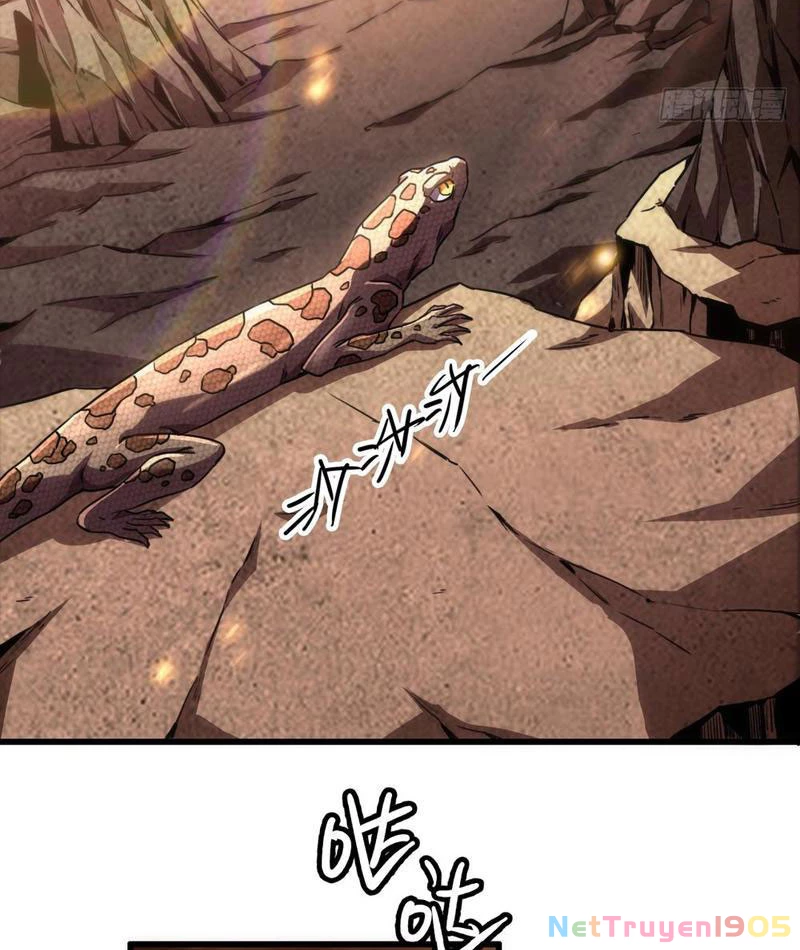 Dị Biến Giáng Lâm Nhân Gian: Triệu Hoán Chi Chủ! Chapter 1 - 5