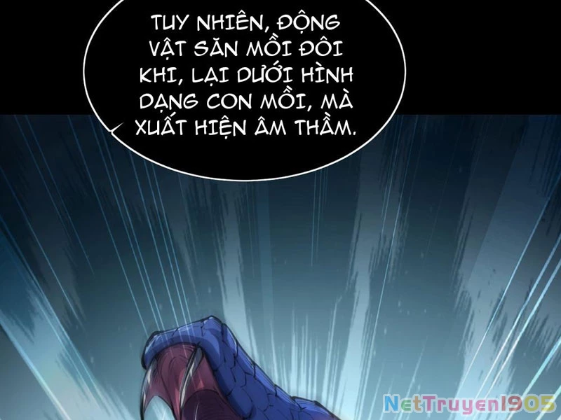 Dị Biến Giáng Lâm Nhân Gian: Triệu Hoán Chi Chủ! Chapter 10 - 4