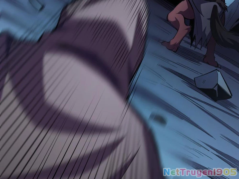 Dị Biến Giáng Lâm Nhân Gian: Triệu Hoán Chi Chủ! Chapter 10 - 144