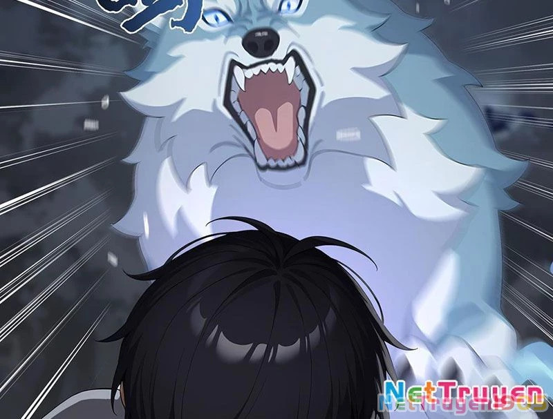 Thái Cổ Thập Hung: Người khác ngự thú ta ngự thú nương Chapter 3 - Trang 2