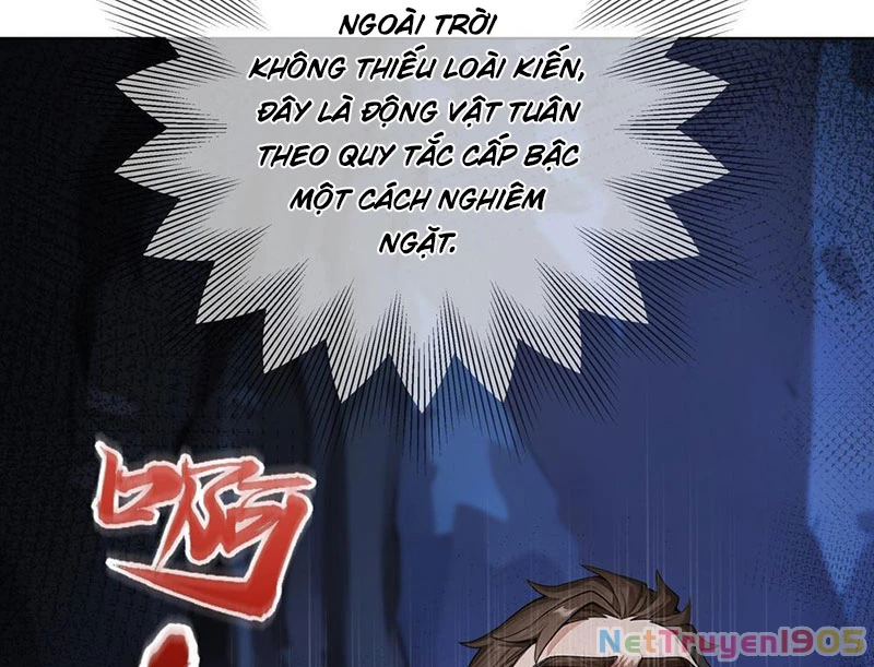 Thái Cổ Thập Hung: Người khác ngự thú ta ngự thú nương Chapter 8 - Trang 2