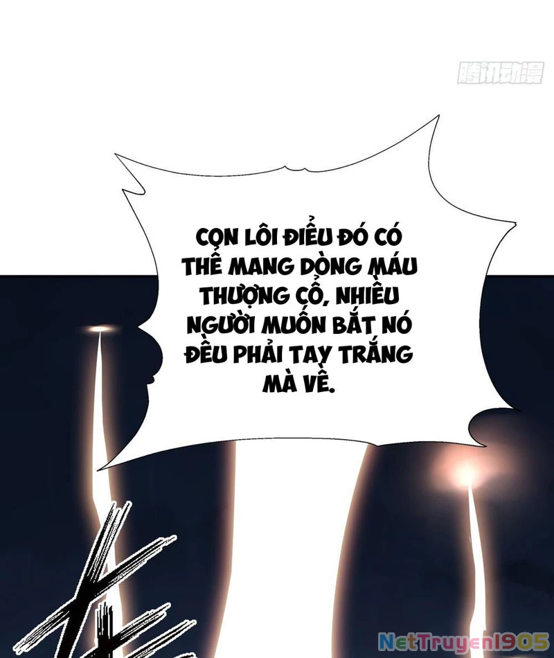 Thái Cổ Thập Hung: Người khác ngự thú ta ngự thú nương Chapter 14 - 23