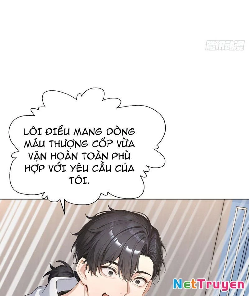 Thái Cổ Thập Hung: Người khác ngự thú ta ngự thú nương Chapter 14 - 26