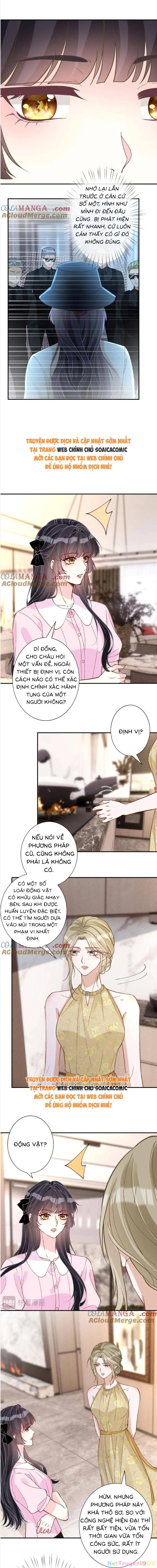 Ôm Khẩn Tiểu Mã Giáp Của Tôi Chapter 368 - 3