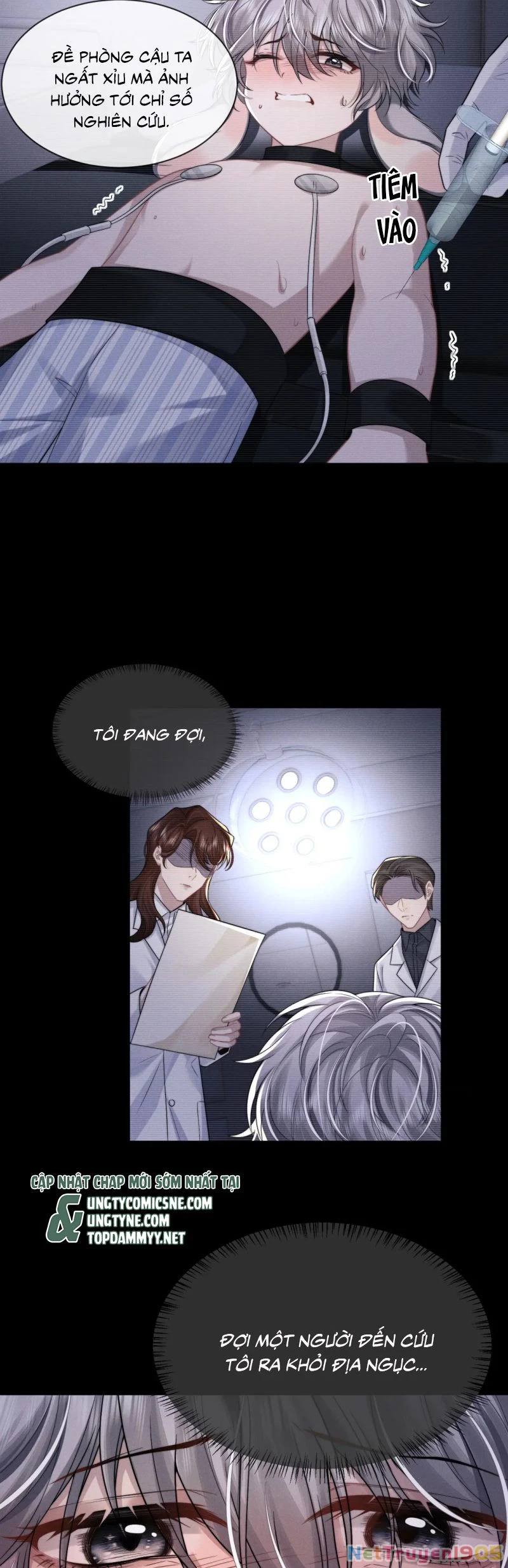 Chấp Sự Thỏ Cụp Tai Chapter 161 - 4