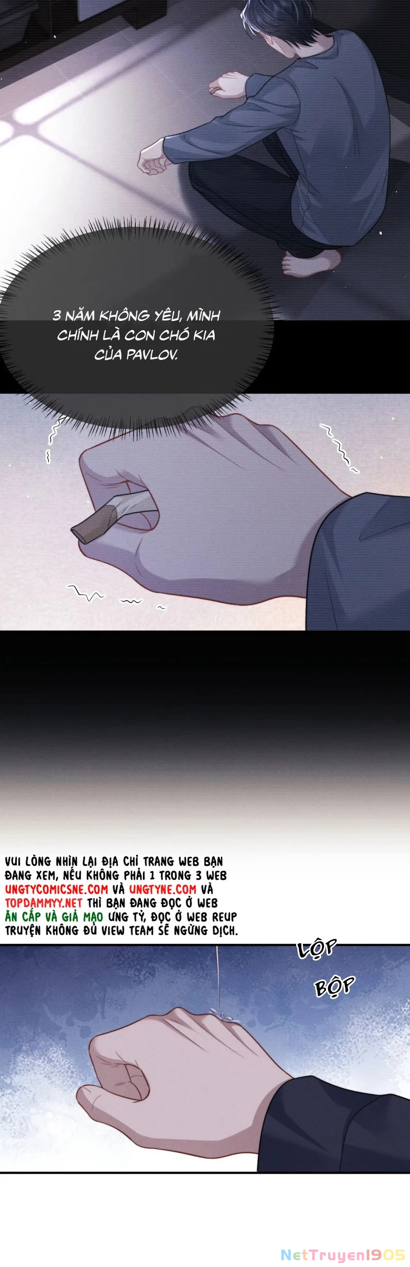 Chấp Sự Thỏ Cụp Tai Chapter 161 - 12