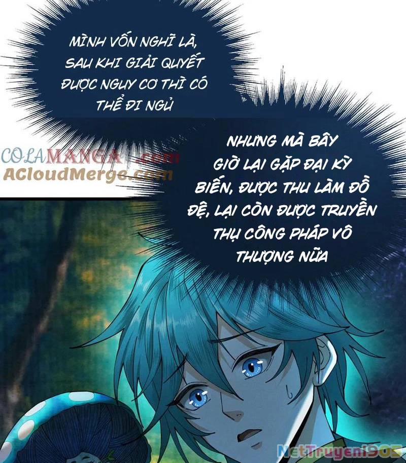 Gặp Mạnh Thì Mạnh, Ta Tu Vi Vô Thượng Hạn Chapter 51 - Trang 2
