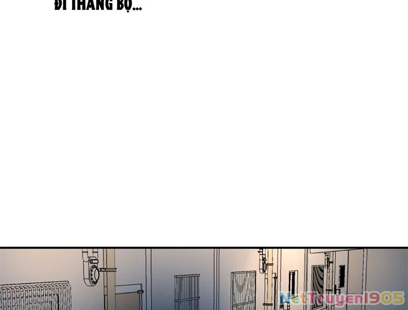 Thám Tử Ẩn Danh Chapter 3 - Trang 2
