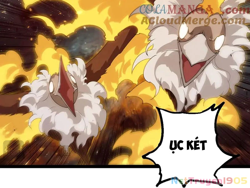Chuyển Sinh Thành Liễu Đột Biến Chapter 383 - 10