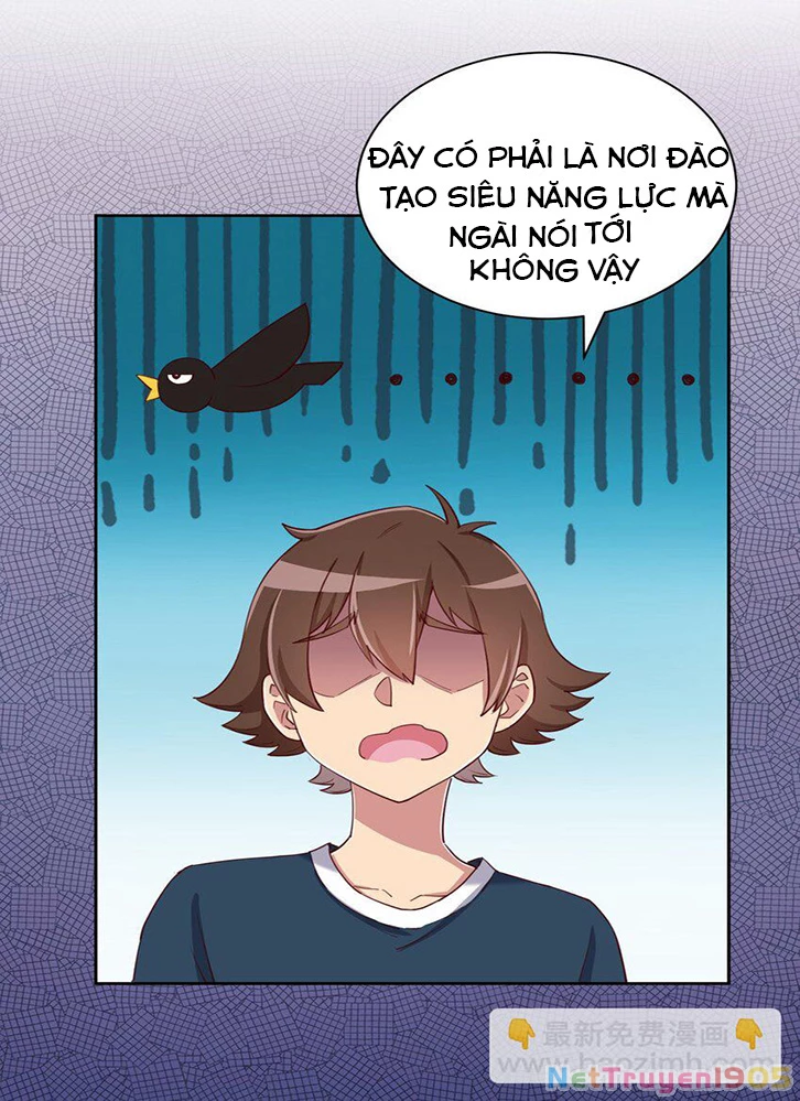 Ông Trời Đã Ban Cho Tôi Siêu Năng Lực Kỳ Lạ Gì Thế Này? Chapter 62 - 4