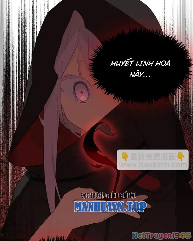 Giết chết nam chính sau đó trở thành nữ ma đầu Chapter 10 - Trang 2