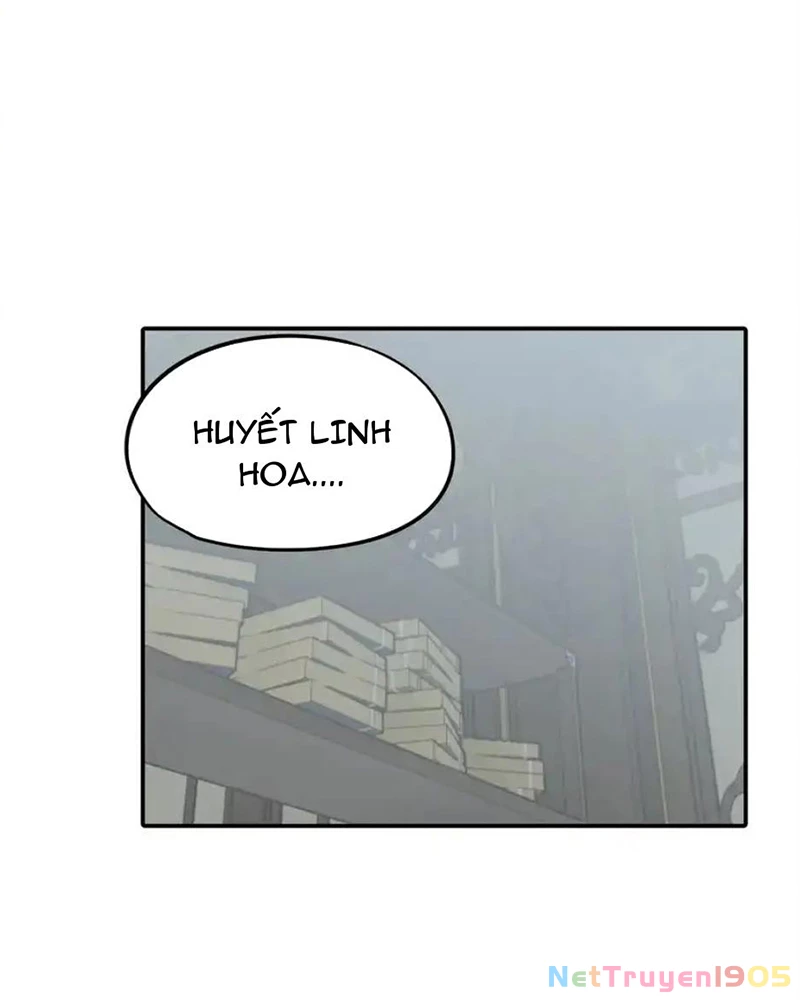 Giết chết nam chính sau đó trở thành nữ ma đầu Chapter 10 - Trang 2