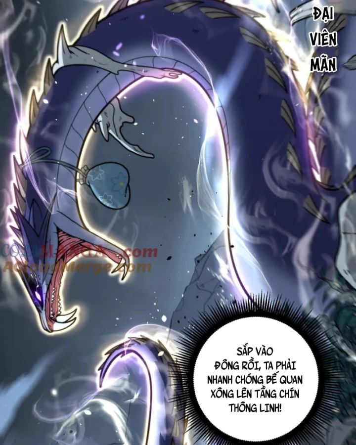 Lão xà tu tiên truyện Chapter 43 - 47