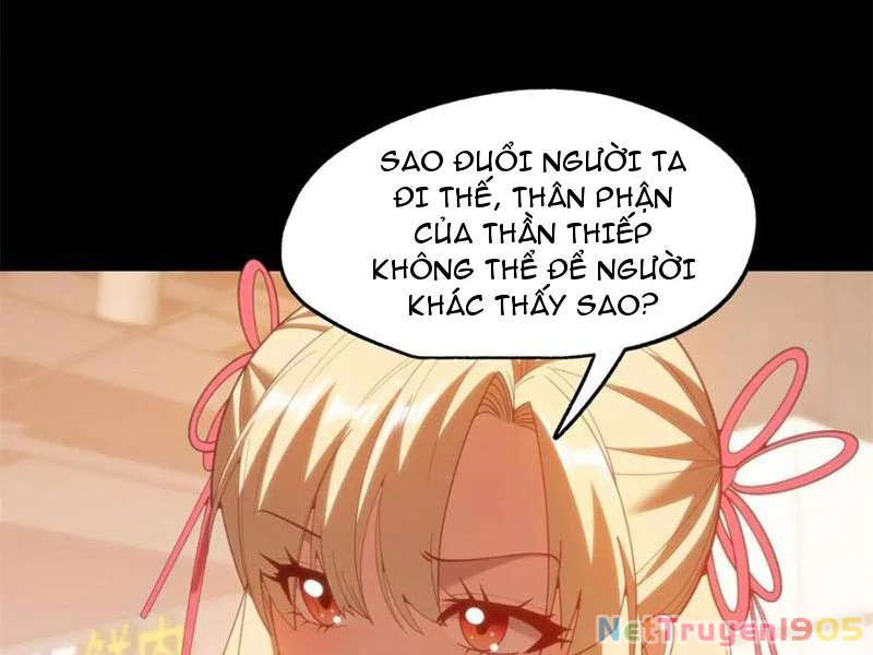 Trọng Sinh Không Làm Chạn Vương, Tôi Một Mình Nạp Game Thăng Cấp Chapter 232 - 13